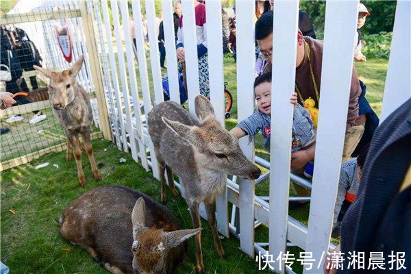 网络图片|卖家秀和买家秀？长沙一景区实景和宣传图相差太大被市民吐槽