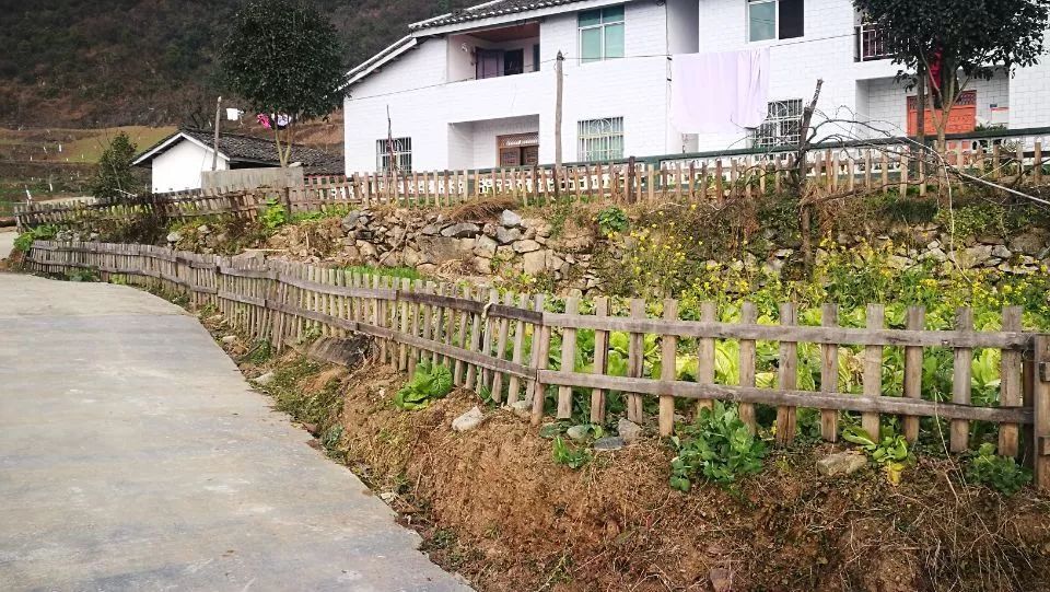 羊木镇:争做新型城镇化领头羊 加快建成朝天区经济副中心