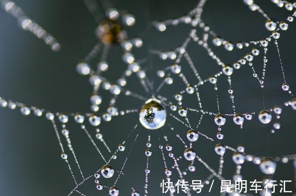 拍打|4种水果是“湿气王”,吃的越多,体内湿气越重,别再往嘴里塞