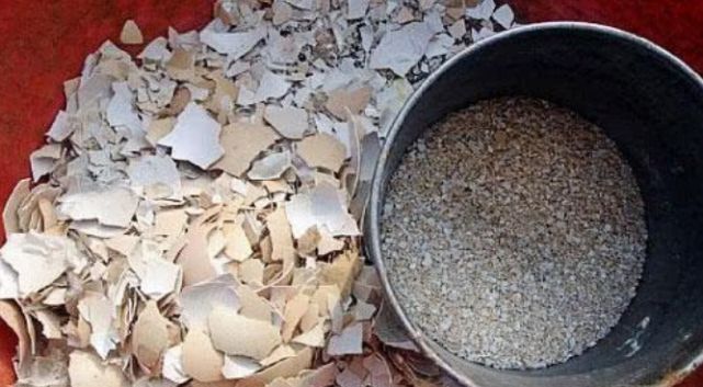 悄悄告诉你,花卉不开花,用点“催花水”,花开满盆,变养花高手