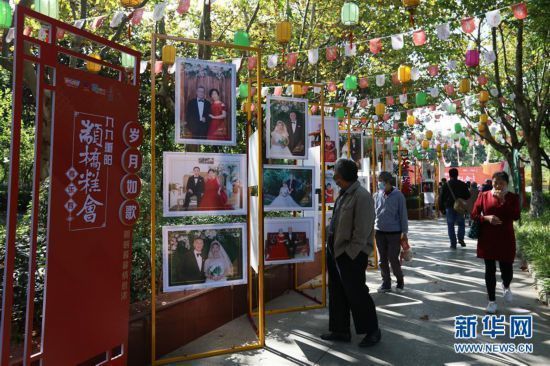 文化系列活动在上海|品糕赏菊乐重阳