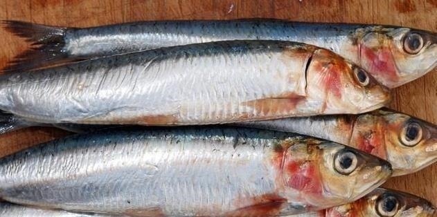 买鱼时,遇到这3种鱼扭头就走,重金属含量高,没营养还浪费钱!