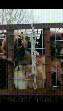 |搞笑GIF:看把人都喷成什么样子了,亲妈都认不出来了