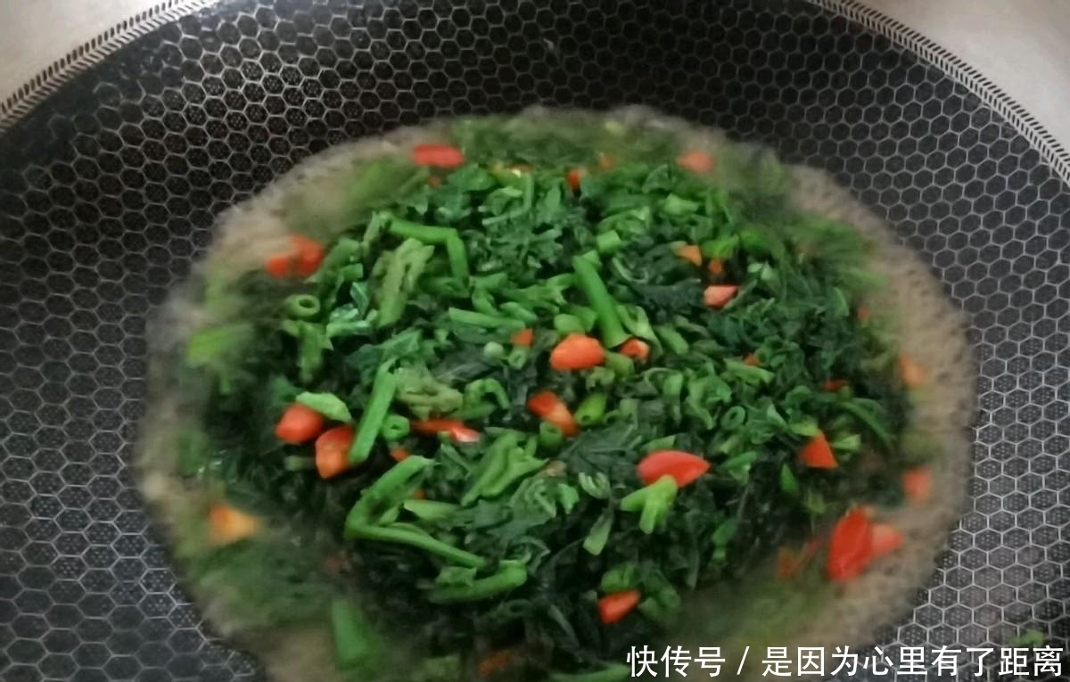 南瓜藤|这菜经常被“扔掉”,其实是个“宝”,排湿安眠,很多人不知道