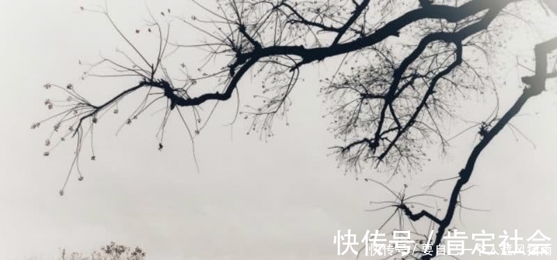 李清照|李清照这首诗成为了绝唱，里面句句是经典，成为宋诗里的千古名篇