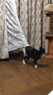 |搞笑GIF:男人带娃,只要孩子不哭不闹就能做自己的事情