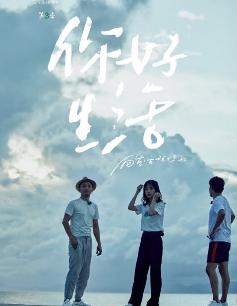 節目|本來想看王冰冰的，沒想到被節目吸了粉