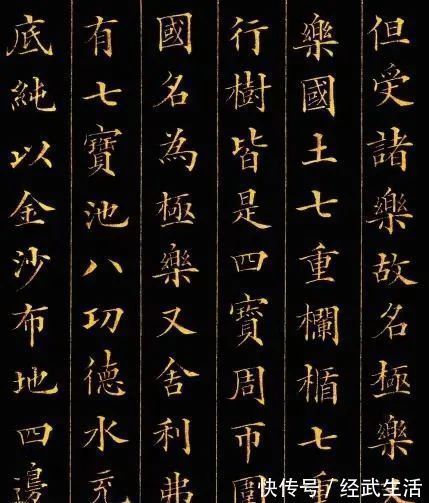 水平|清朝馆阁体中的最高水平,这字太好看了!现在却被批评没艺术性