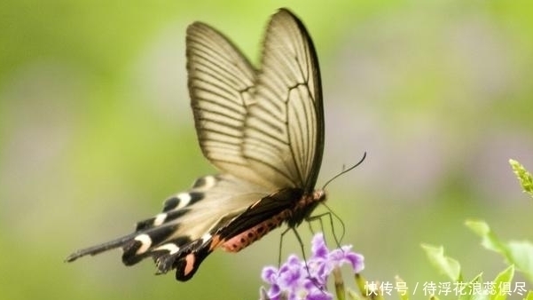 福气|“消福容易,攒福难”,有3个“坏习惯”,往往会消耗福气