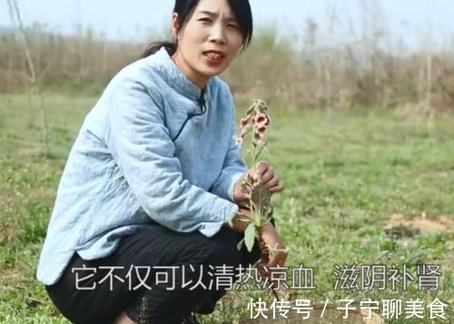 农村|农村一种滋养肝肾的药材，妹子挖出根部直接吃，味道清甜如萝卜