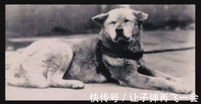 声誉#美国眼中的日本2——共读《菊与刀》!