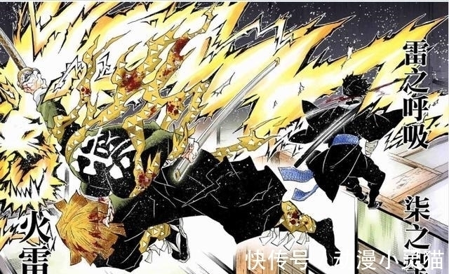 蜘蛛山|鬼灭之刃:顶尖美女祢豆子,为何选择嫁给被甩过多次的我妻善逸?