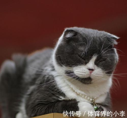 |幽默笑话:姐姐刚到公司就知道跟她们女主管靠近乎。这天下班回来