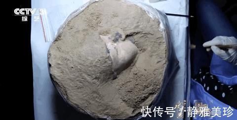 相似性|“給兵馬俑拍照的人”爆紅：我看見一枚指紋來自2200年前