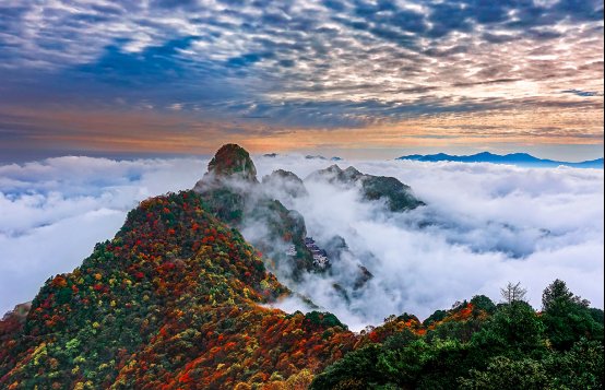 摄影|安康金秋旅游季，岚皋红叶美醉你的秋天