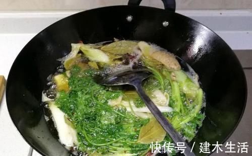 多汁|包饺子时，多加这2样，用上这3招，饺子饱满多汁，个个鲜香