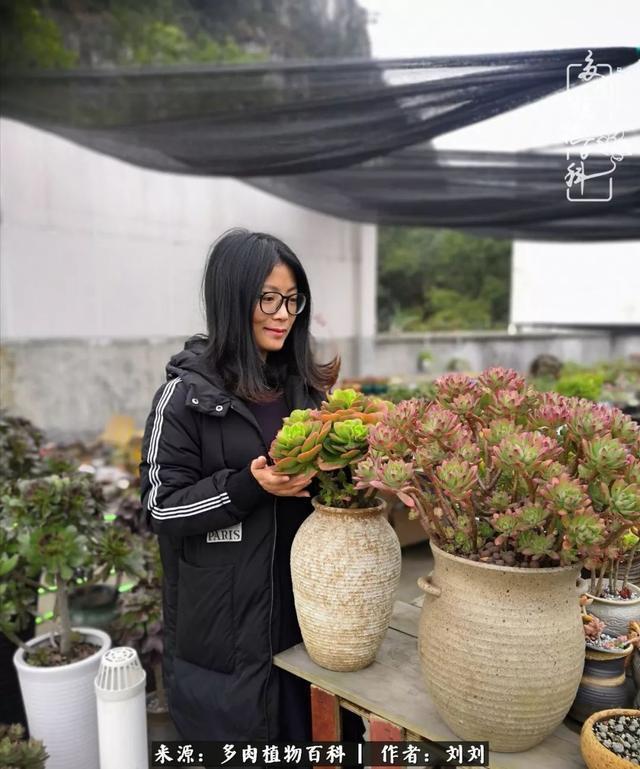 爱多肉，爱生活，我们是一群快乐的养肉人！