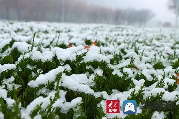 入冬|@邹平市民：入冬以来第一场雪请您查收