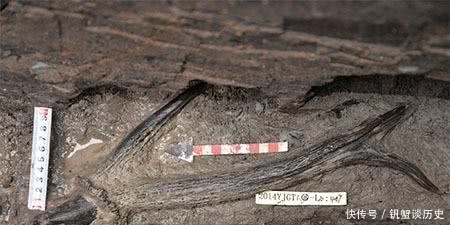 青墩遗址中出土鹿角,上刻神秘花纹,专家说:它难道是最初的易经