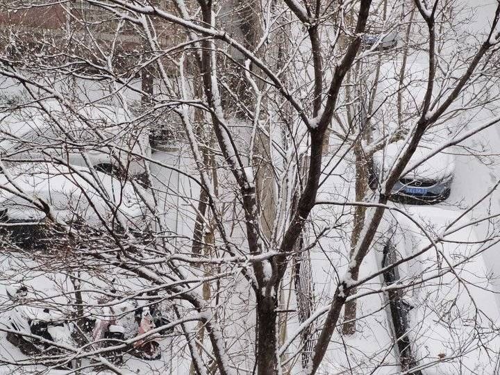 2022年济南第一场雪！漂亮的雪景请你欣赏