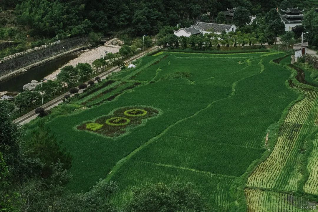 居所|太拉風(fēng)了！螞蟻探路帶領(lǐng)房車露營真人秀節(jié)目慶元拍攝圓滿殺青