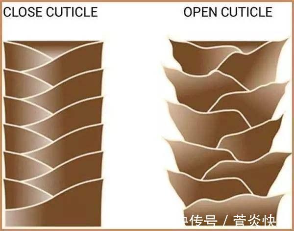 毛巾|用护发素时多1步，头发吹干也滑得像牛奶，护发精油也不需要了