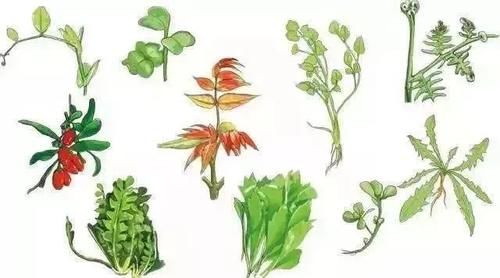 亳州人初春的快乐，你根本想不到！