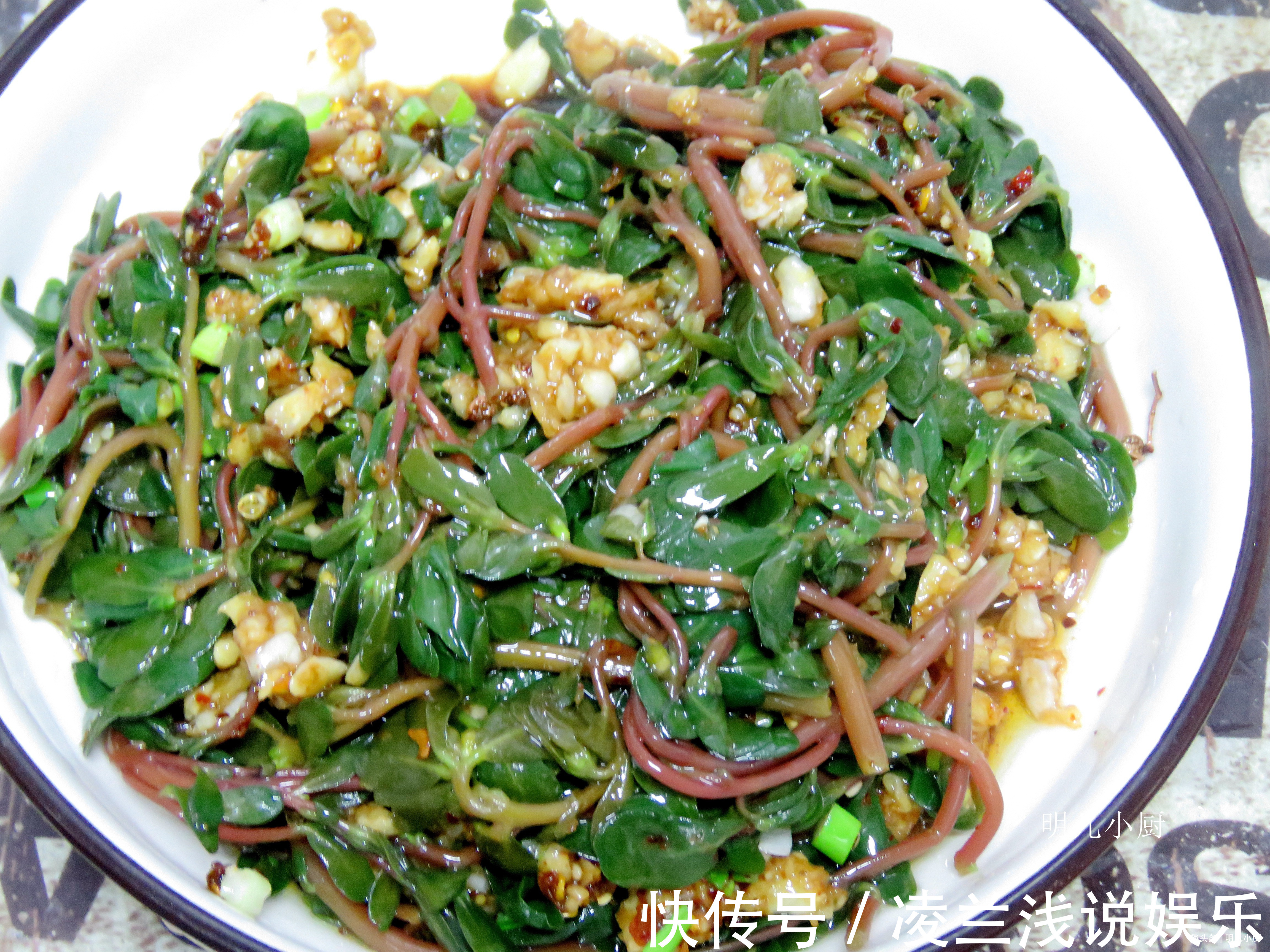 马齿笕|这野菜是“天然消炎药”，夏天遇到别放过，常吃食疗效果就是好