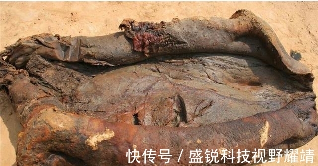 近况|5年前,捡到140斤太岁,卖了300万一夜暴富的辽宁农民,近况如何