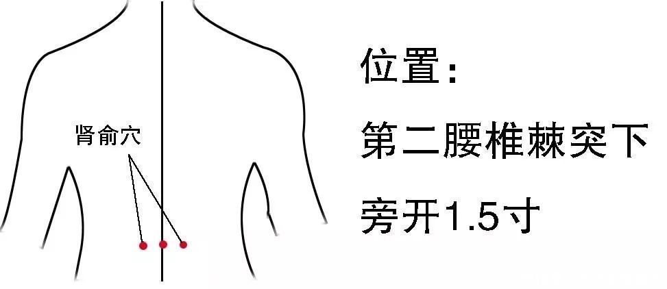 生物磁|1招强肾法一日抖三抖,瞬间阴阳双补,活到九十九