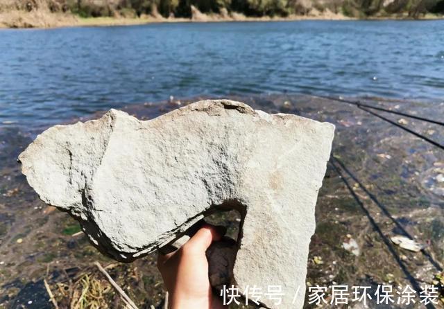 野生|鱼能听到人讲话吗？看完此文，可能你就不会困惑了