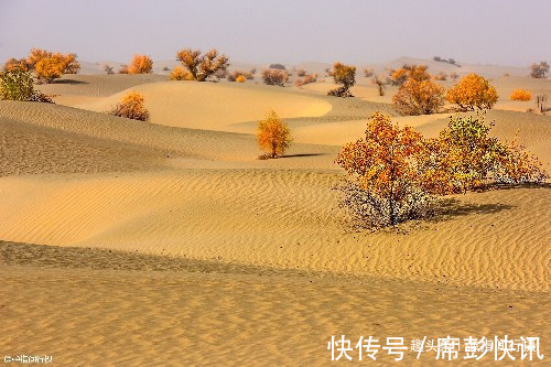 塔里木盆地|秋游南疆，美景美食正当时，你不能缺席的一场视觉和味觉盛宴