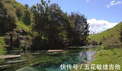 步道|打卡新西兰，北岛的这处“蓝泉”值得一来，还被誉为“天然氧吧”！