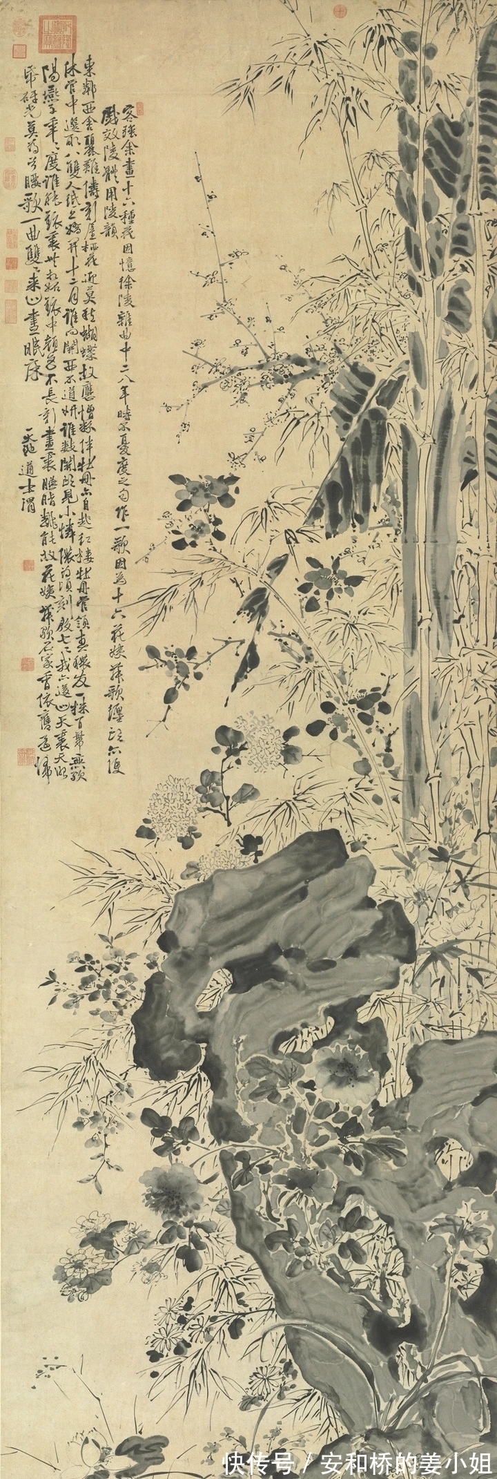 芭蕉！花鸟画一代宗师｜徐渭画竹，当在青藤之后，芭蕉之上，你认为呢？