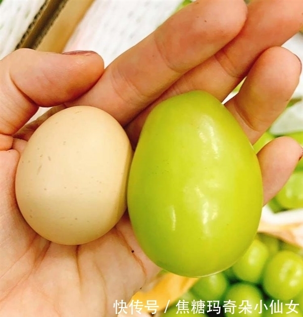 日本开卖葡萄中的VIP：个头如鸡蛋大、一串要2000元