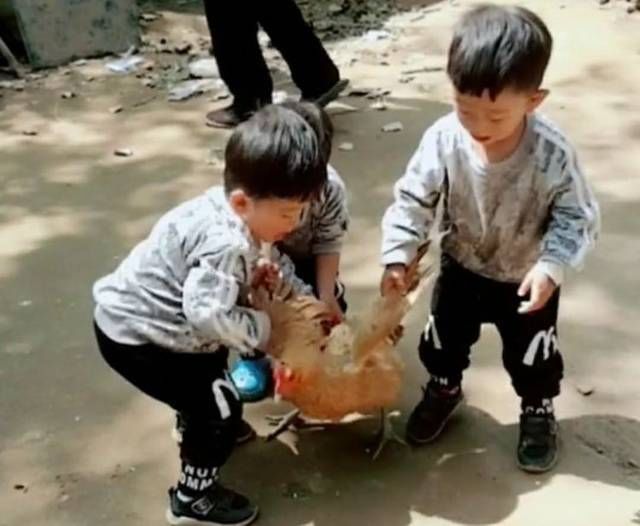 宝妈|6个月宝宝断奶第一天,妈妈下班回家看到儿子的表情,心都酥化了