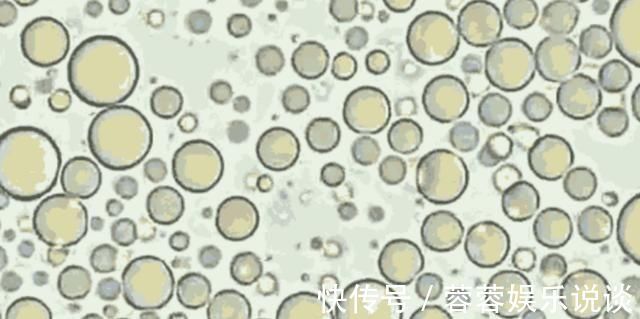 营养物质|当母乳被放大1000倍,纯净得让人难以置信,太神奇了!