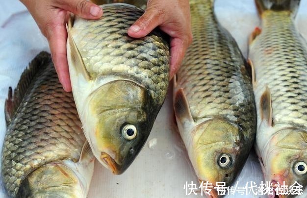 孩子|转骨趁秋天，此时想要孩子身高窜一窜，5种食物记得常给孩子吃