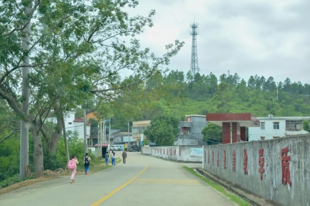 山里|惠东藏在山里的中学，好特别！