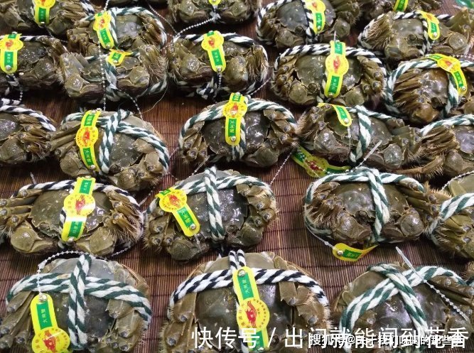 螃蟹吃不完，最忌直接冷藏，学会2个小妙招，放1周还鲜活，不掉肉