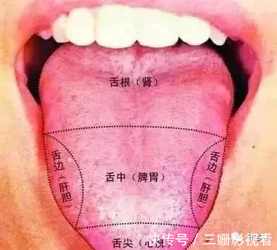 口臭|火在肺里鼻炎,火在肝里失眠,火在胃里口臭,一招降火效果好!