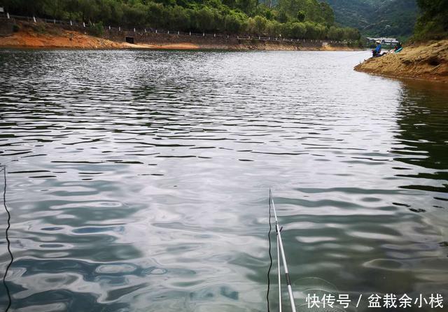 真的|涨水后钓鱼首选这几个地方,只要钓况非极端爆护概率真的很大