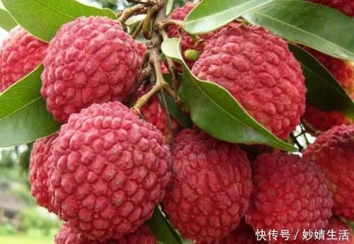 百合干|4物是肝病的“死对头”,手头紧也要坚持吃,排毒养肝,或肝越好