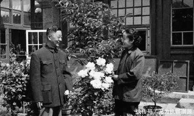 读者|作者到底要不要迎合市场?老舍和王朔各有答案,做回自己最重要