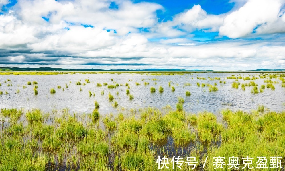 九曲|四川清凉若尔盖，夏季到这里旅游要穿羽绒服，晚上要盖棉被