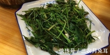农作物|农村一种野草,长在地里是麻烦,端上餐桌是美味,超市13元一斤