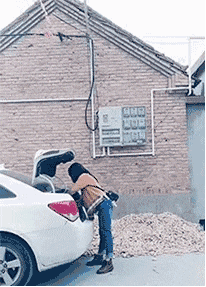 |搞笑GIF:我真是瞎了眼踩到狗屎才会嫁给你