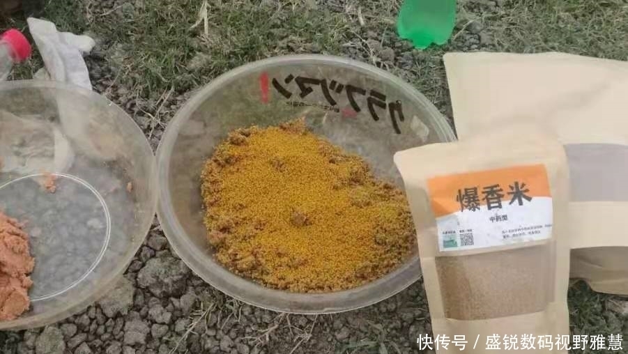 野钓板鲫从不打窝，照样连竿上鱼，学会这些“神操作”，你也可以