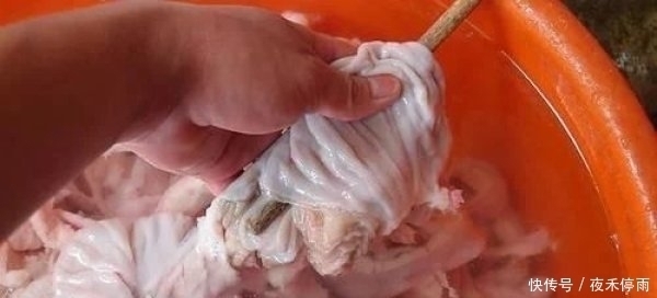 洗猪大肠,不加盐不加醋只需3样,大肠更干净,而且还没腥臭味
