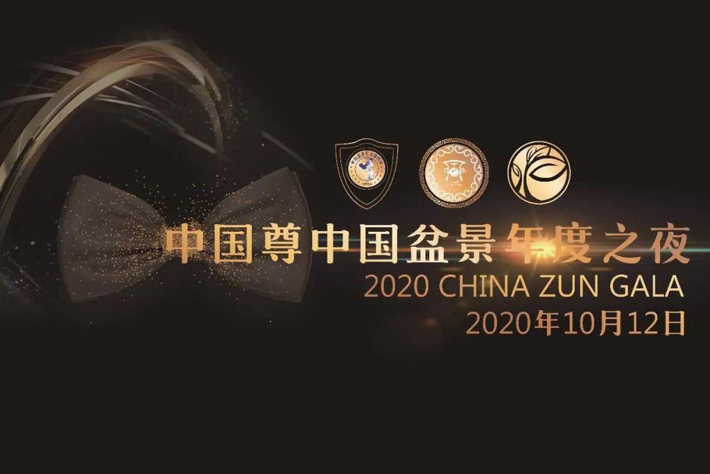  评委|我的打分是这样来的——2020中国尊首席大奖评委张旭明打分全记录